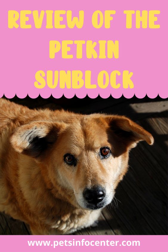 Review Of The Petkin Sunblock