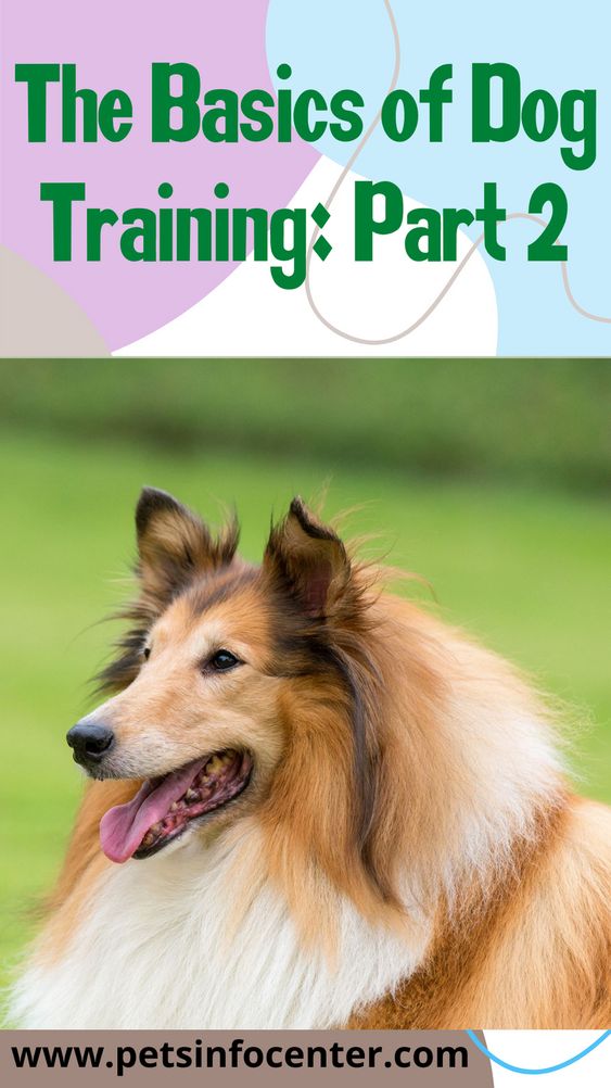 The Basics of Dog Training: Part 2